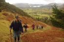 Last Steep Climb before woods