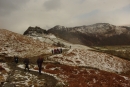 Striding across path to Seatoller