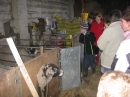 Feeding the Lambs