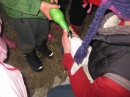 Feeding the Lambs