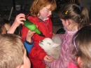 Feeding the Lambs