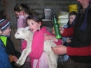 Feeding the Lambs