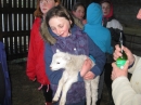 Feeding the Lambs