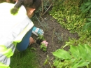 Planting