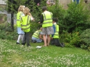 Planting