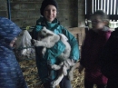 Holding the lambs