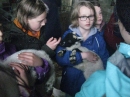 Holding the lambs
