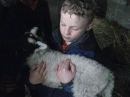 Holding the lambs