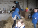 Fun in the hay