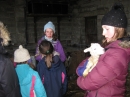 Lambs