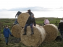Hay bales