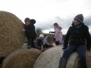 Hay bales