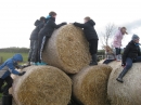 Hay bales