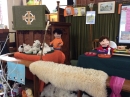 Harvest Display