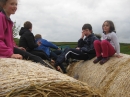 Straw Bales