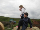 Straw Bales