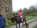 Pony Rides