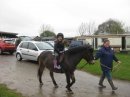 Pony Rides