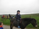 Pony Rides