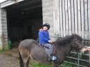 Pony Rides