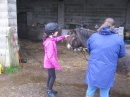 Pony Rides