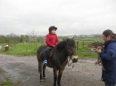 Pony Rides